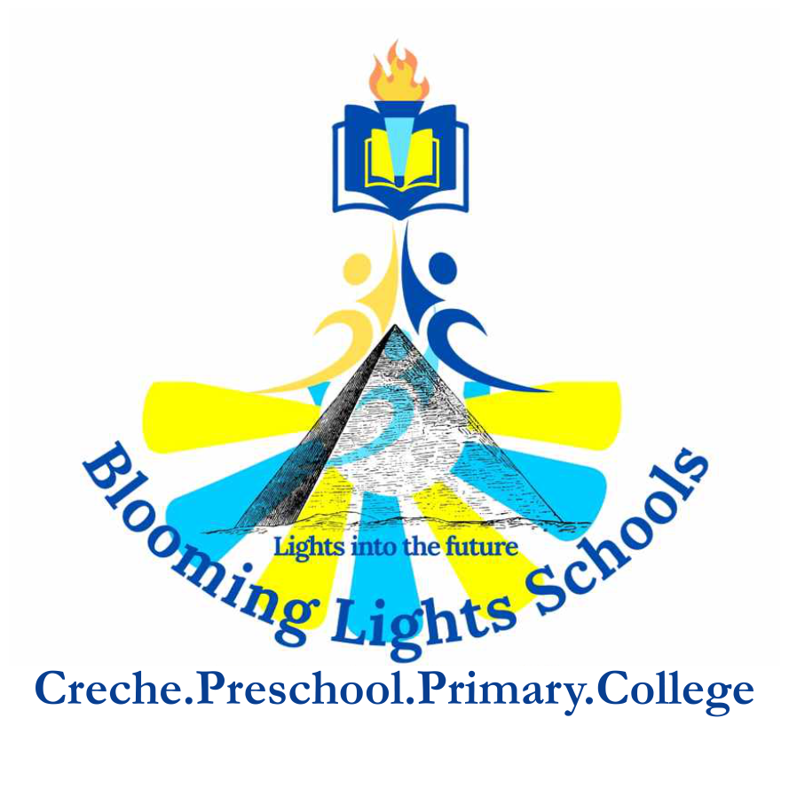 Blooming Lights Schools logo